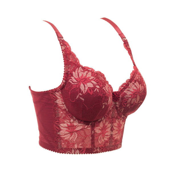 560 Long Bra-Red - Image 2